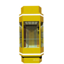 Fjzy Panoramic Cheap Elevator-Ascensor2040